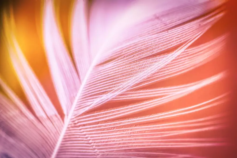 Nabídka Práce Broumov