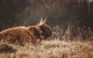 Jak Dlouho Trvá Schválení Půjčky Česká Spořitelna